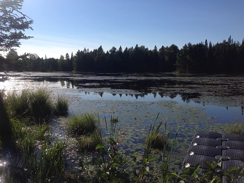Faciltiies - Outback Pond