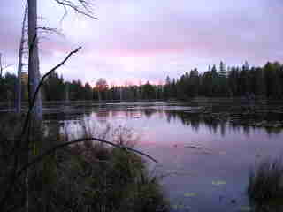 Sunset at Outback Pond