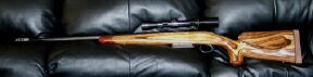 Hunting rifle upgraded
