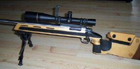 Picture of F-Class Rifle with custom action and modified Anschutz stock.