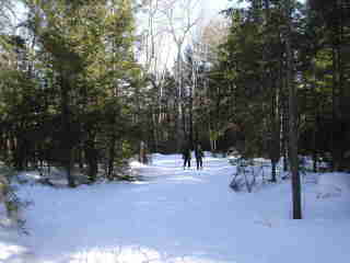 Winter walk